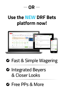 DRF Bets